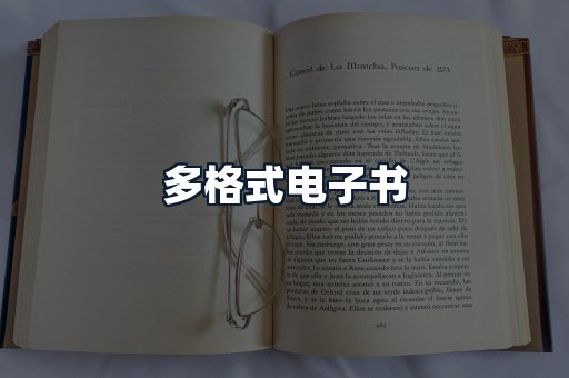 多格式电子书